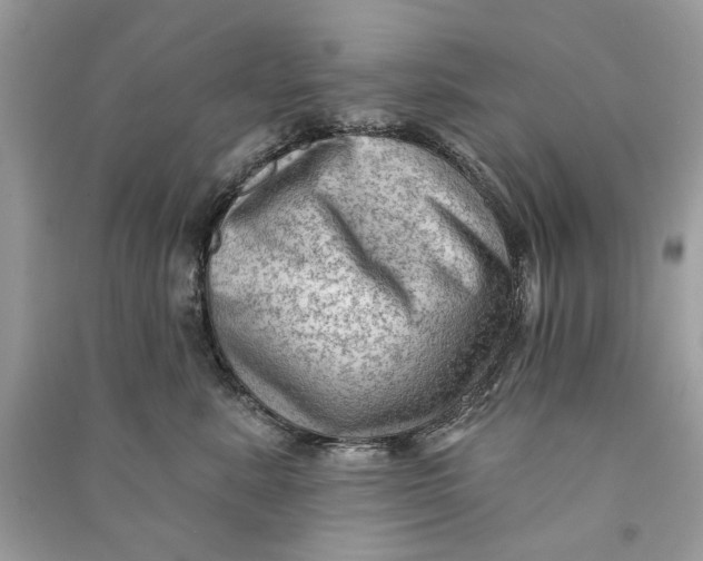 X0000090730619200708101641