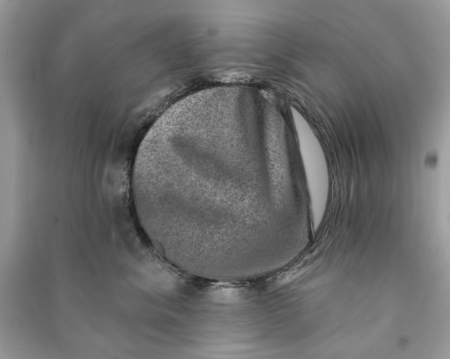 X0000090730620200708101641