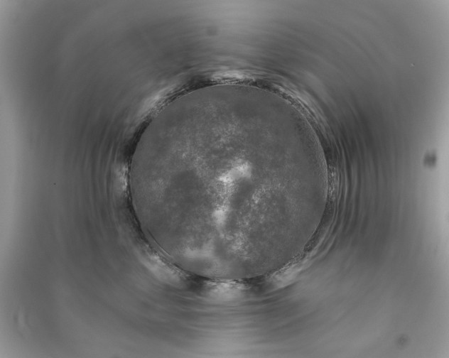 X0000090730621200708101641