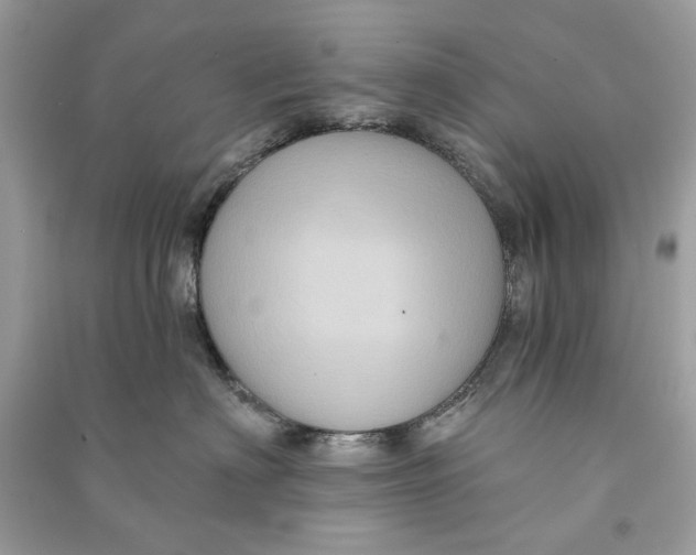 X0000090730622200708101641