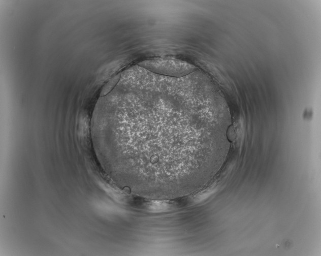 X0000090730623200708101641