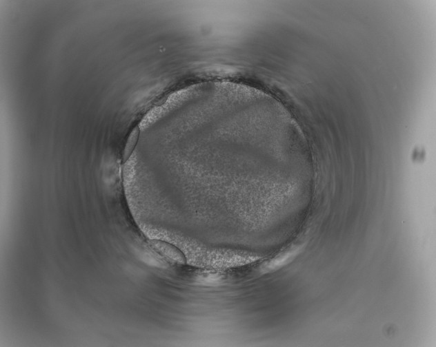 X0000090730624200708101641