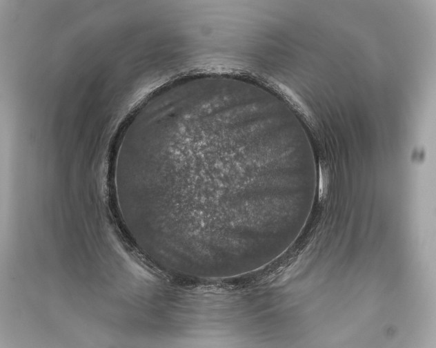 X0000090730627200708101640