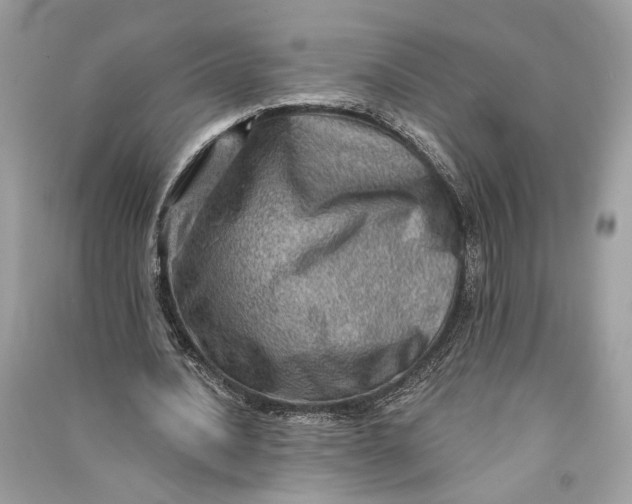 X0000090730628200708101640