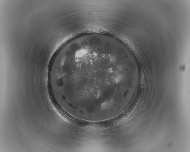 X0000090730630200708101640