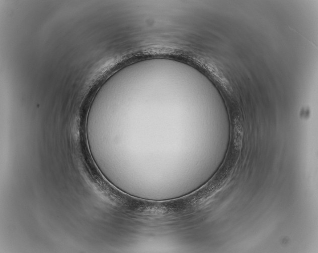 X0000090730631200708101640