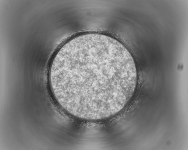 X0000090730632200708101640