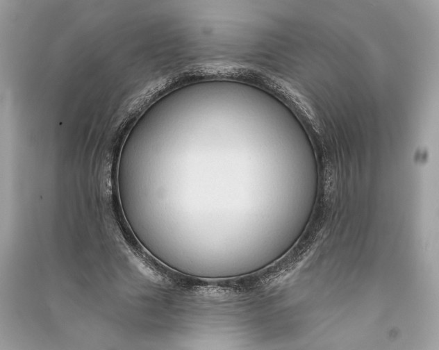 X0000090730633200708101640