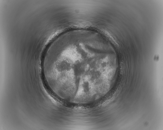 X0000090730634200708101640