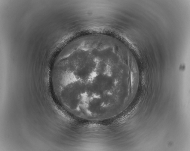 X0000090730637200708101640