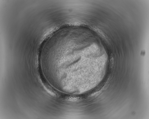 X0000090730638200708101640