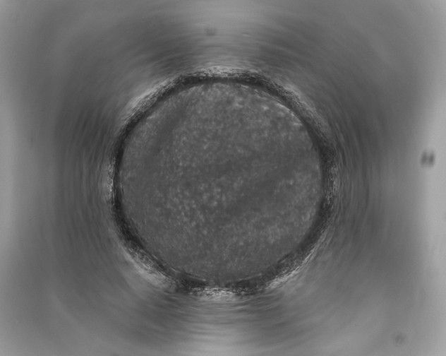 X0000090730640200708101640