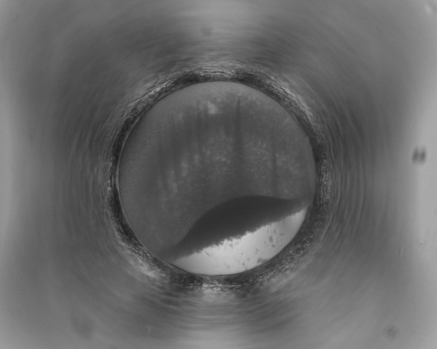 X0000090730641200708101640