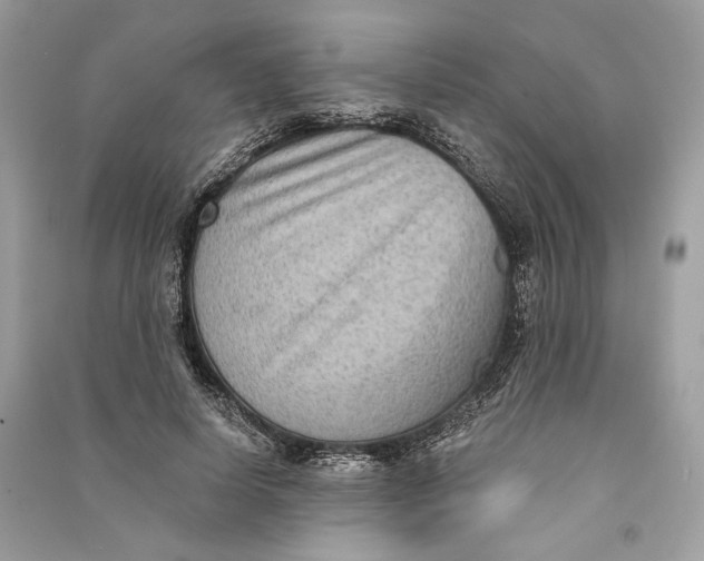 X0000090730642200708101640