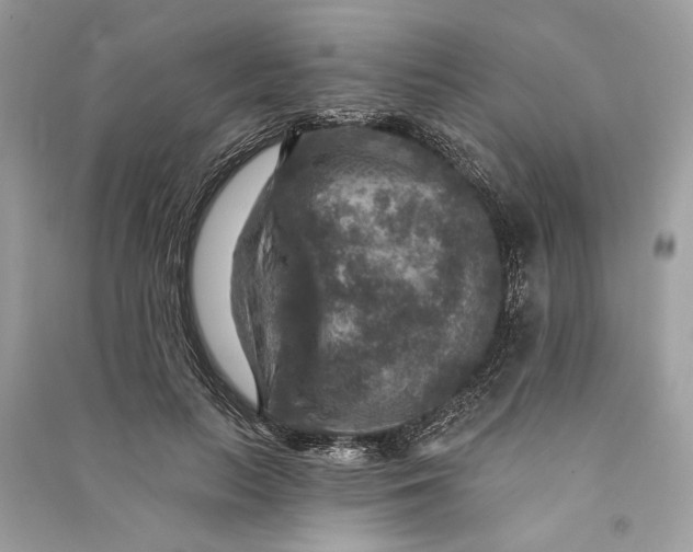 X0000090730647200708101640