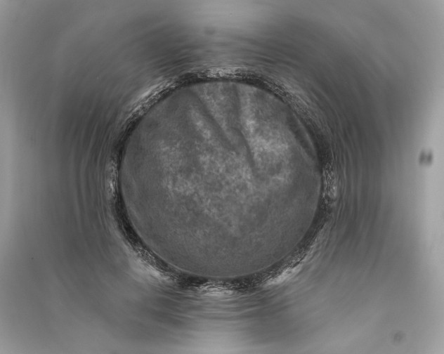 X0000090730648200708101640