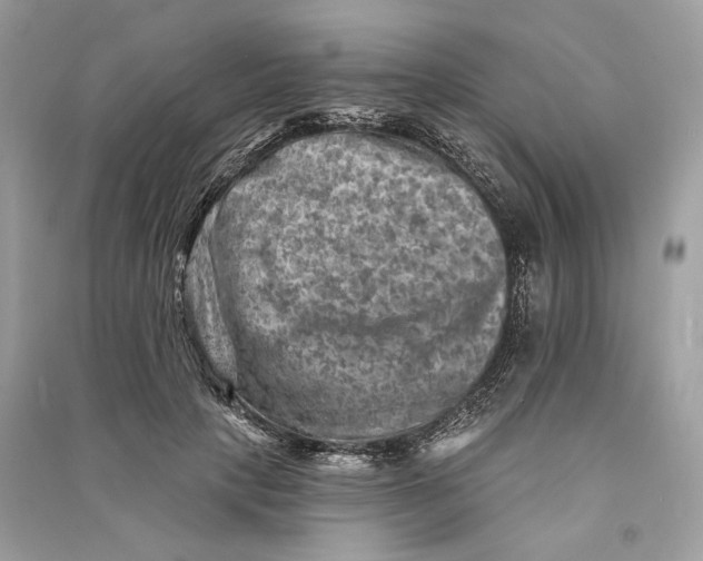 X0000090730649200708101641