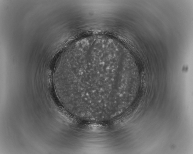 X0000090730650200708101641