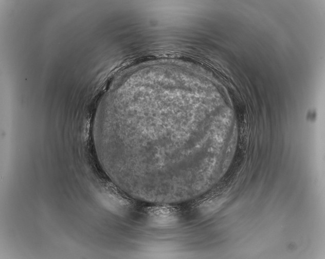 X0000090730652200708101641