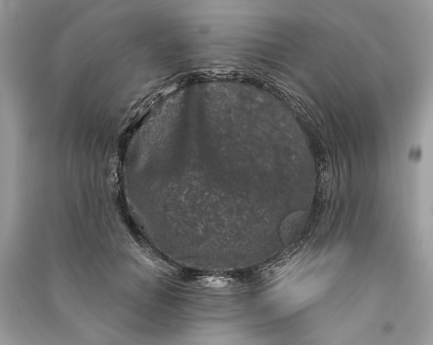 X0000090730654200708101641