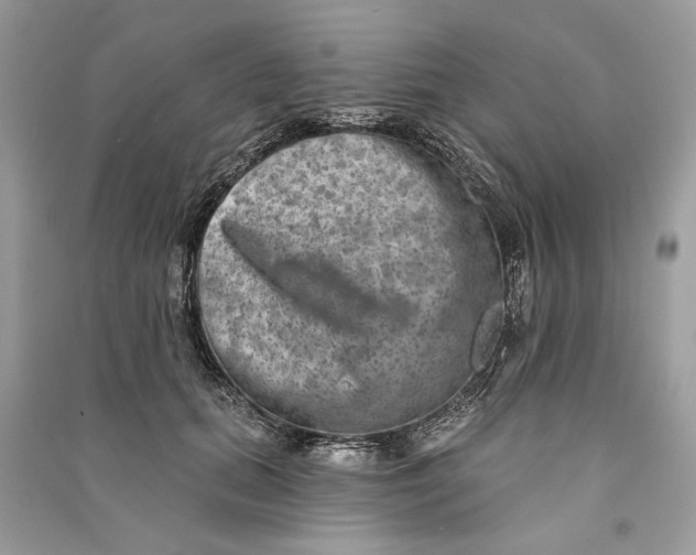 X0000090730655200708101641