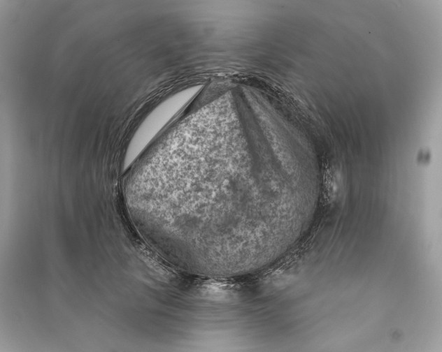 X0000090730657200708101641