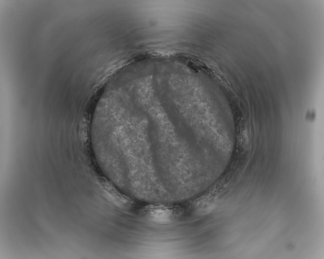 X0000090730658200708101641