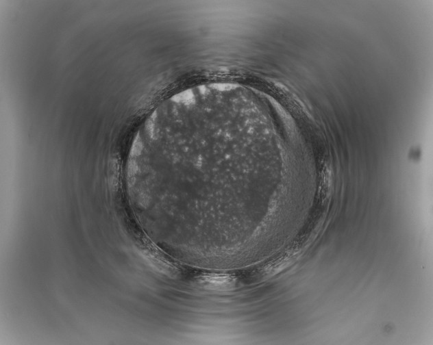 X0000090730659200708101641