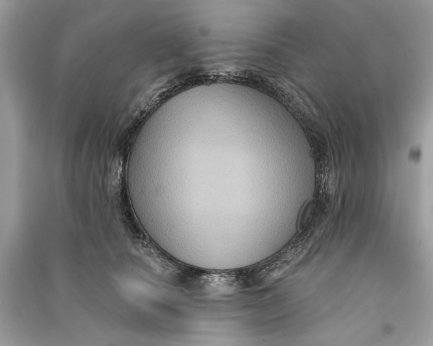 X0000090730660200708101641