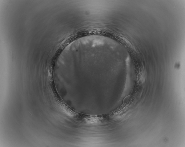 X0000090730661200708101641