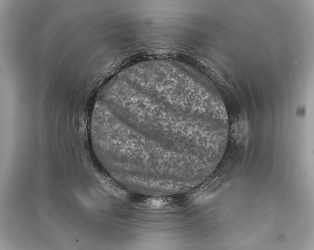 X0000090730662200708101641