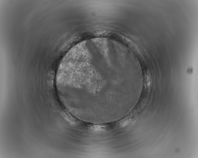 X0000090730664200708101641