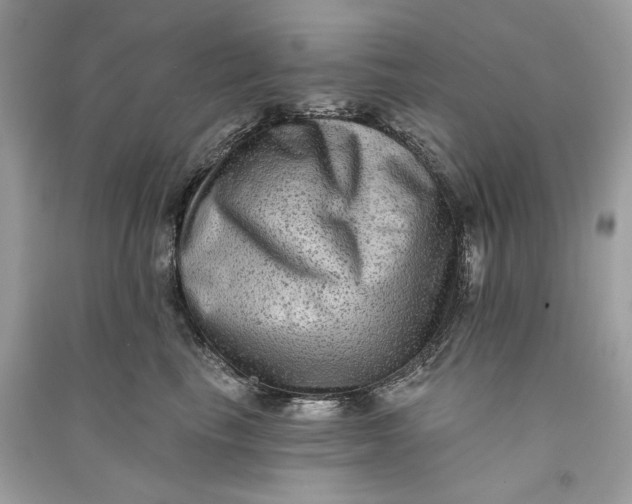 X0000090730665200708101641