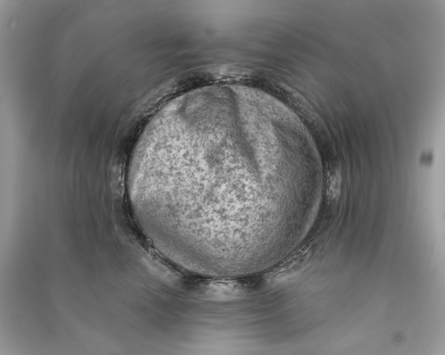 X0000090730666200708101641