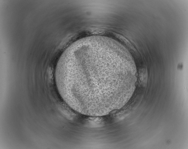 X0000090730667200708101641