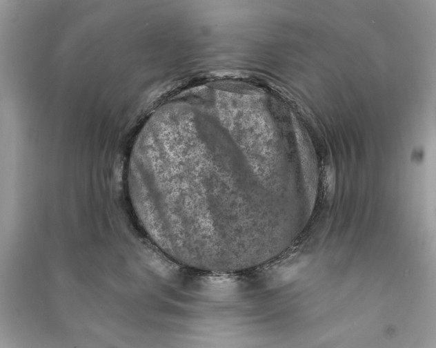 X0000090730668200708101641