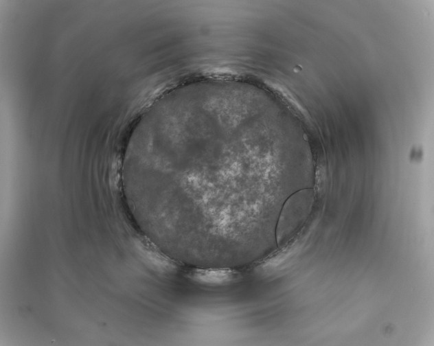 X0000090730671200708101641