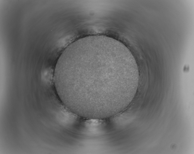 X0000090730672200708101641