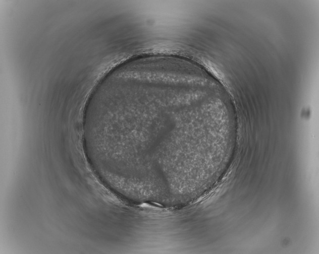 X0000090730673200708101640