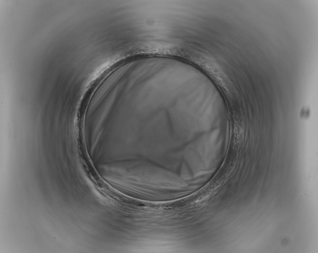 X0000090730674200708101640