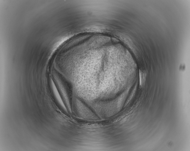 X0000090730675200708101640