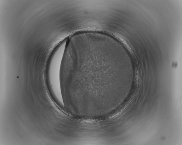 X0000090730677200708101640