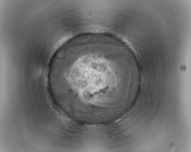 X0000090730679200708101640