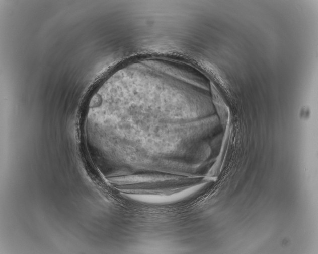 X0000090730680200708101640