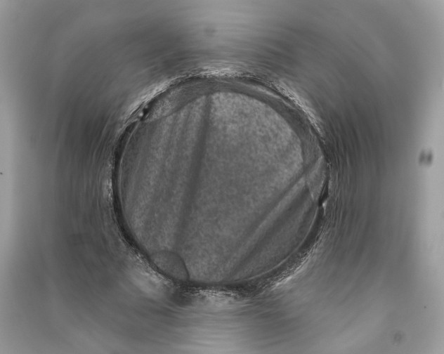 X0000090730681200708101640