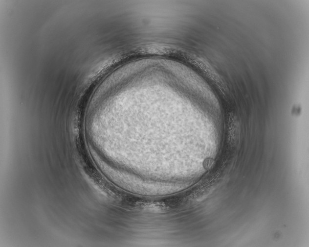 X0000090730683200708101640