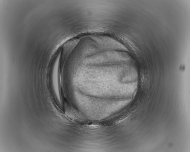 X0000090730684200708101640