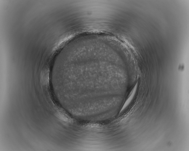 X0000090730685200708101640