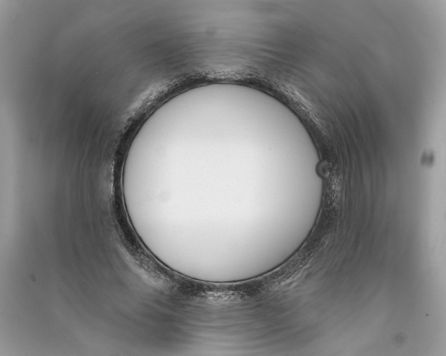 X0000090730686200708101640