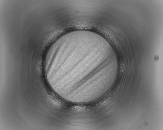 X0000090730690200708101640